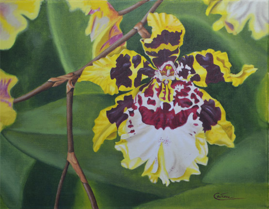 Painting of an Oncidium Orchid
