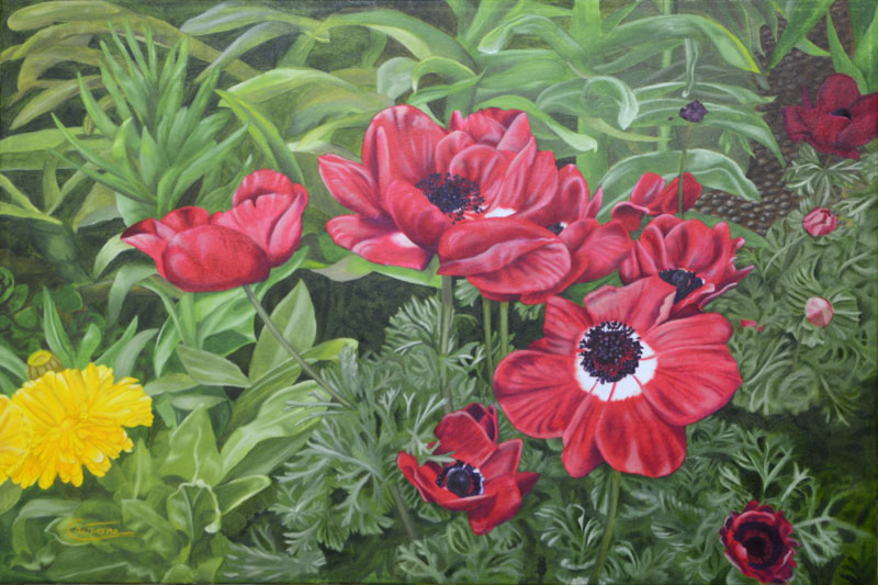 Painting of a group of Poppy Anemone flowers
